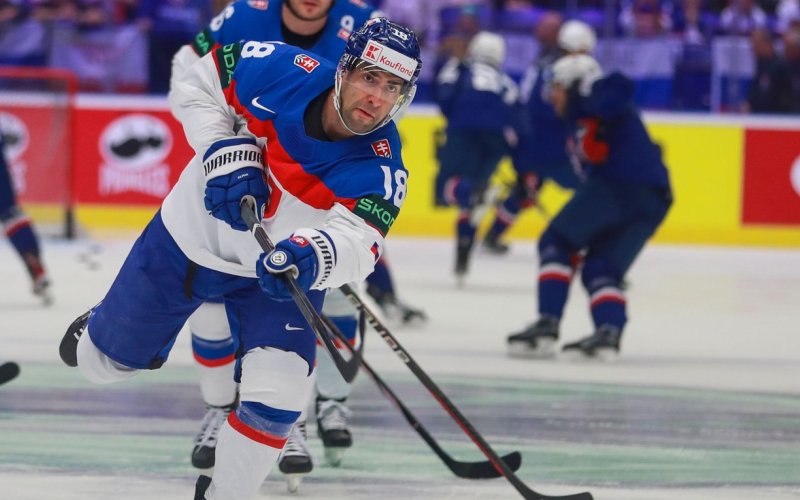 Prvou posilou je skúsený slovenský útočník Andrej Kudrna